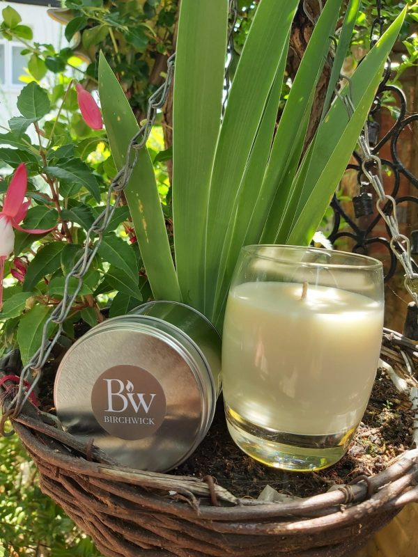 Curved glass candle and tin candle, set against a natural background..